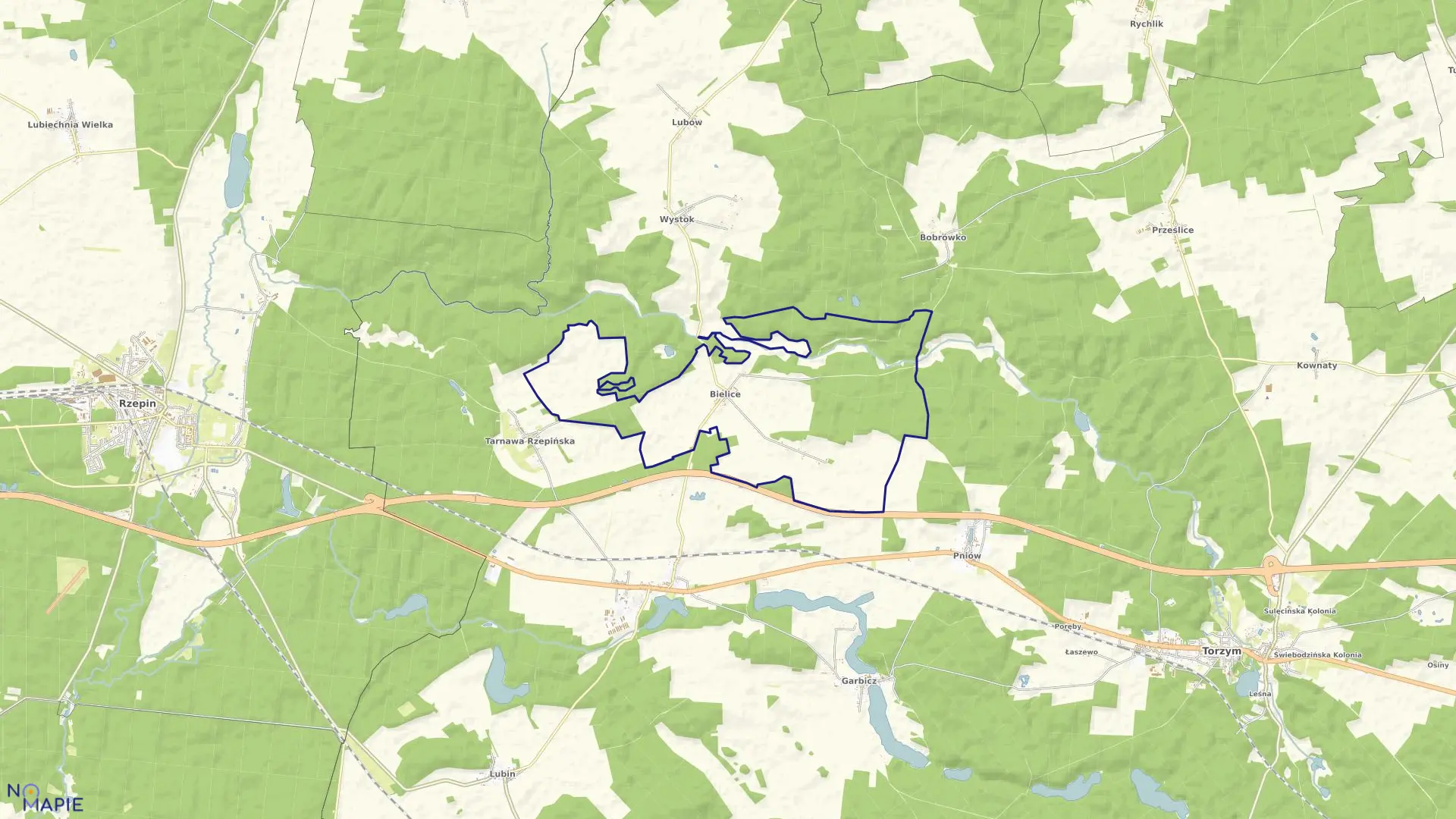 Mapa obrębu Bielice w gminie Torzym