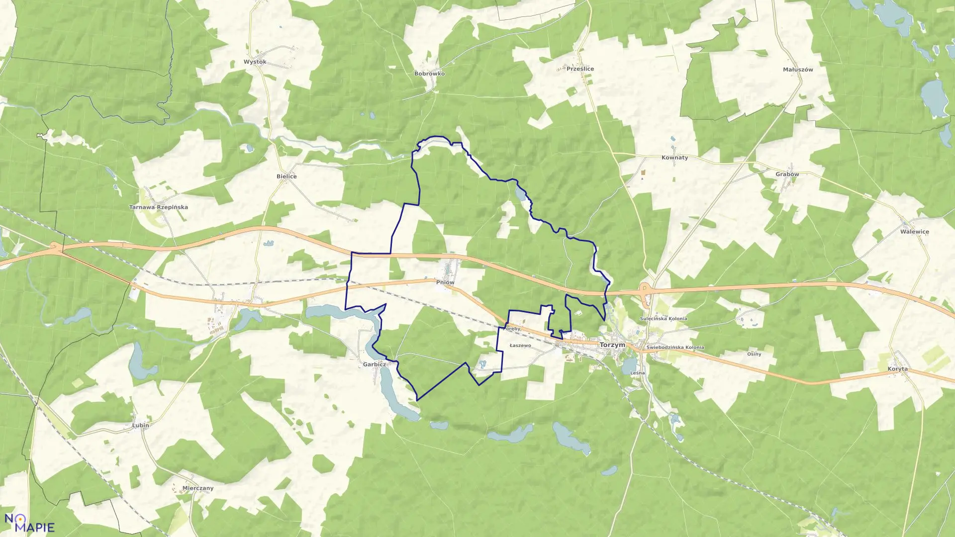 Mapa obrębu Pniów w gminie Torzym