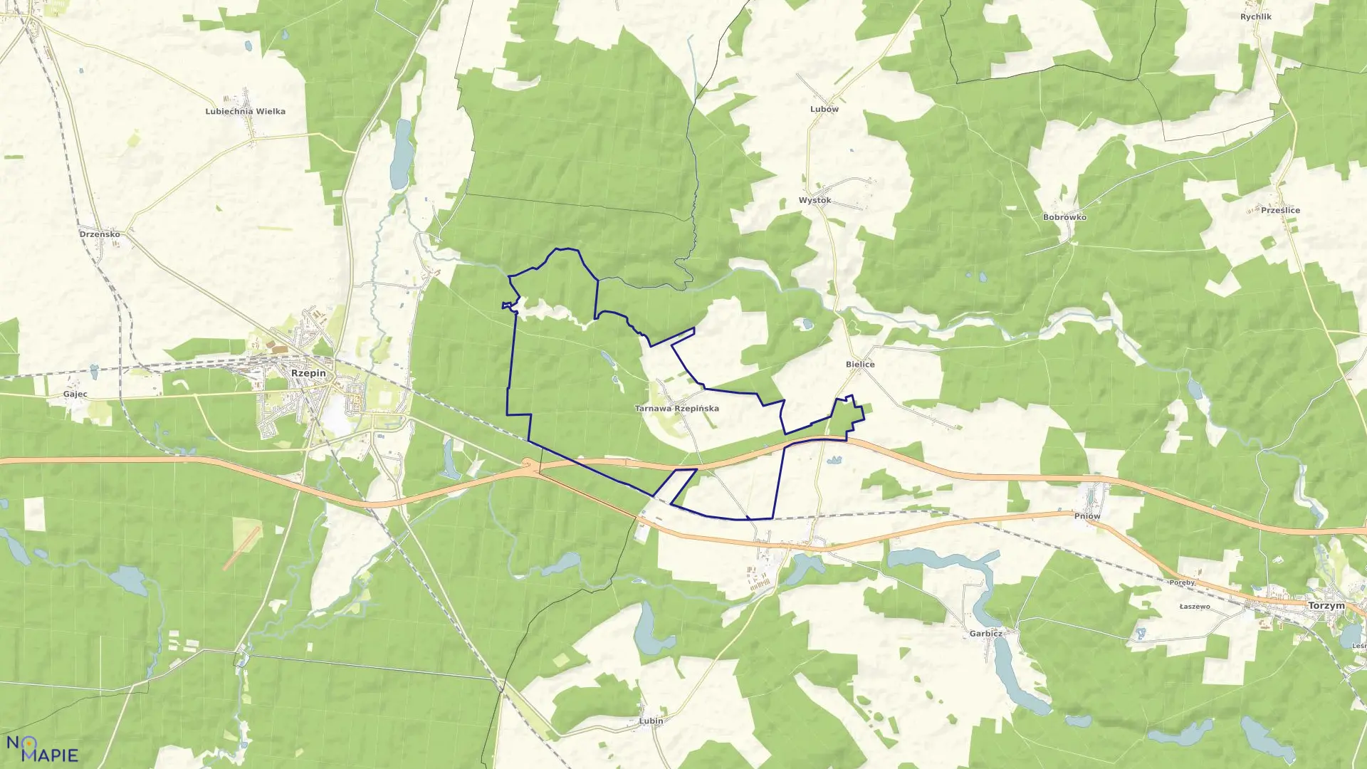 Mapa obrębu Tarnawa Rzepińska w gminie Torzym