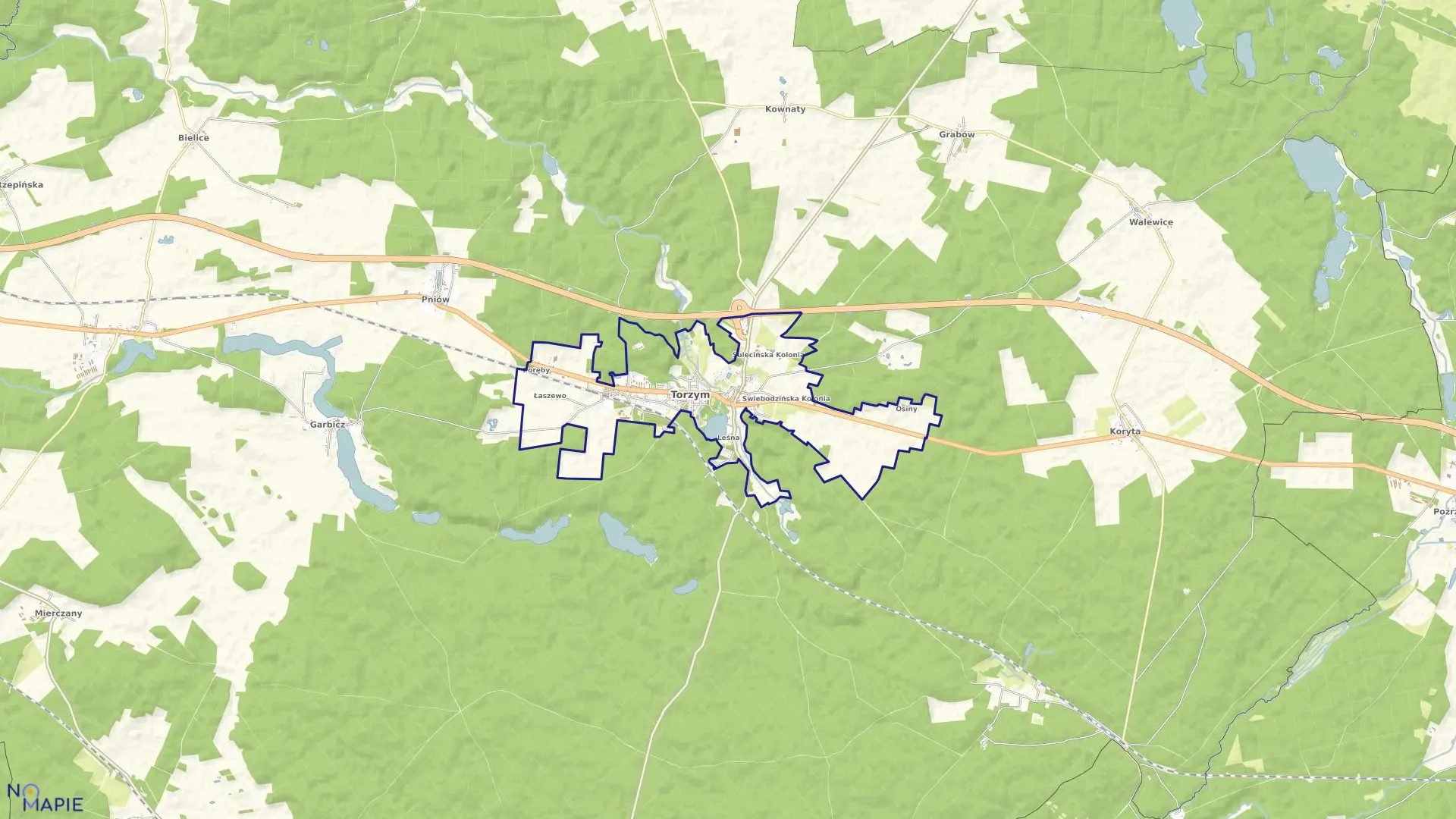 Mapa obrębu Torzym w gminie Torzym